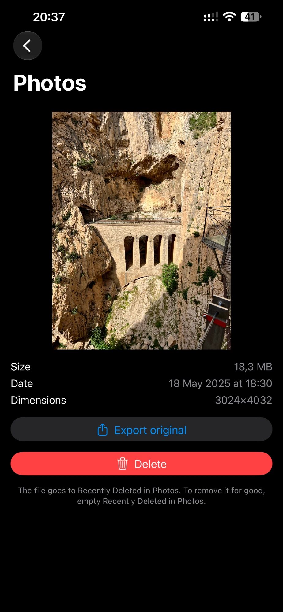 A single photo with export and delete actions