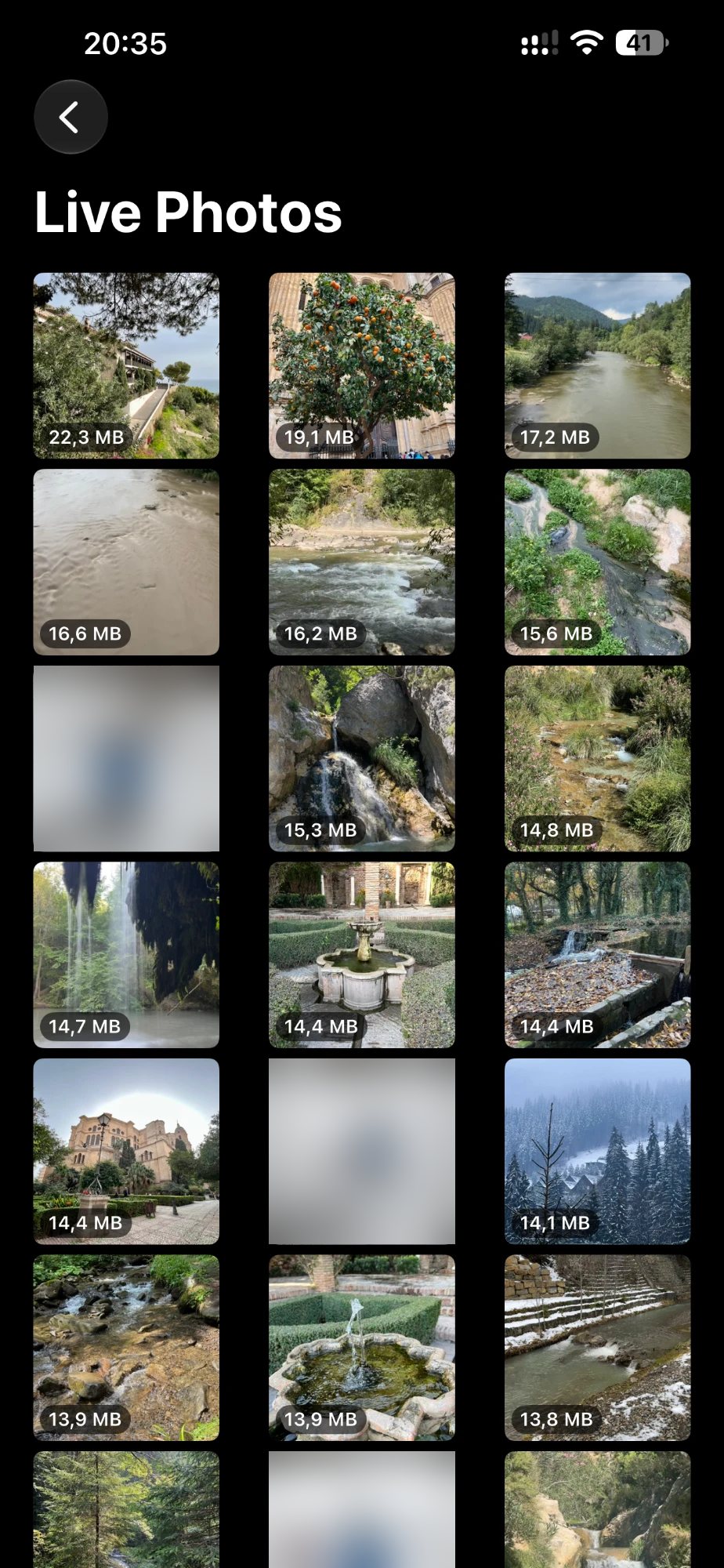 Live Photos sorted by size